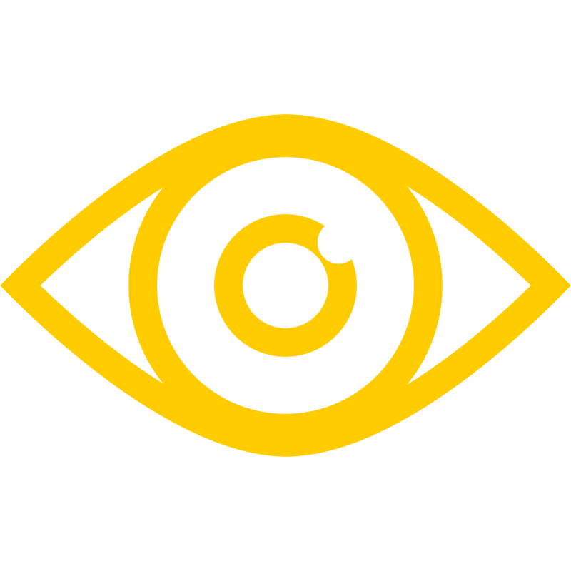 vision
